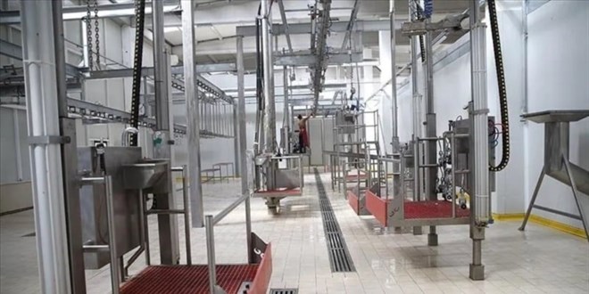 Bakan Yumakl� payla�t�: Kesimhanelerde g�venilir g�da i�in 3 ad�m - Son Dakika Haber