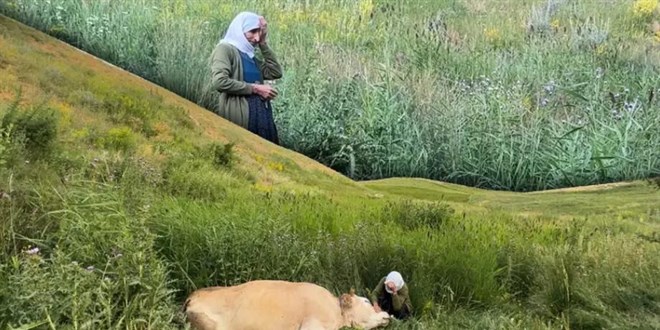 200 metrelik u�urumda y�rek yakan g�zya��