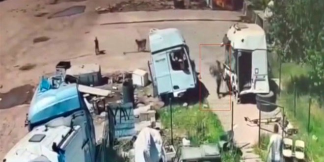��rnak'ta ba��bo� k�pek ya�l� adama sald�rd�