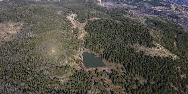 Ankara'da ormanlara giri� yasa�� 15 Ekim'e kadar uzat�ld�