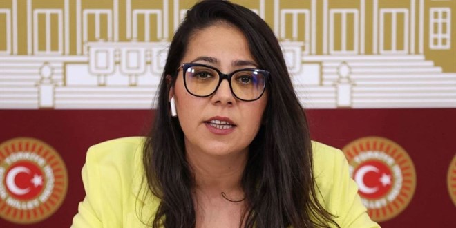 Sera Kad�gil hakk�nda 'Cumhurba�kan�na hakaret'ten soru�turma ba�lat�ld�