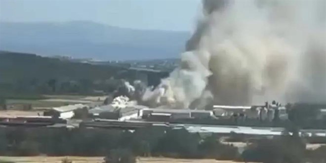 Bursa'da tavuk �iftli�inde yang�n - Son Dakika Haber