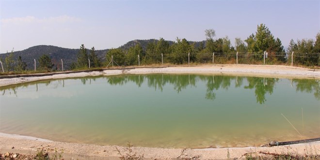 Yeni yang�n havuzlar� orman yang�nlar�yla m�cadeleye g�� katacak - Son Dakika Haber
