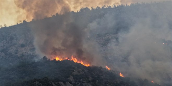 Manisa'da ��kan orman yang�n�na m�dahale ediliyor - Son Dakika Haber