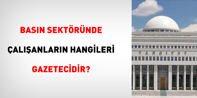 Bas�n sekt�r�nde �al��anlar�n hangileri gazetecidir?