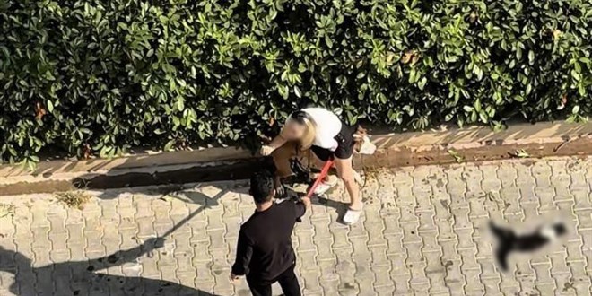 Adana'da kediyi par�alayan pitbullun sahibine 95 bin lira ceza - Son Dakika Haber