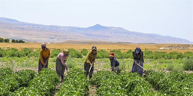 2,9 milyon �ift�iye 6 ayda 106 milyar lira destek - Son Dakika Haber