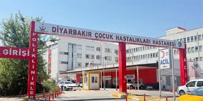 'T�rkiye'de kediden kaynakl� vaka 10 y�lda yoktu, temas sonras� a�� �art'