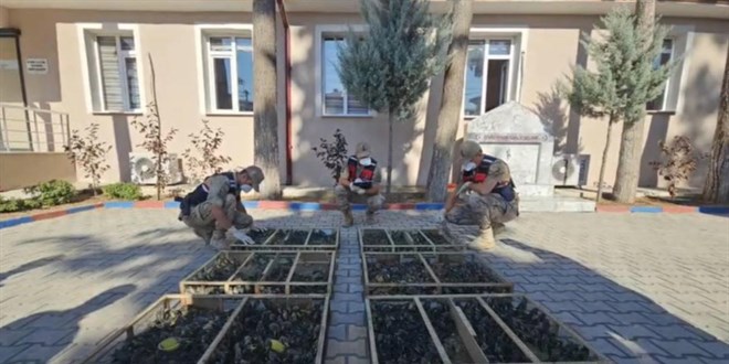 Trakt�r r�morkundan binlerce saka ku�u ��kt�, s�r�c�ye 19,8 milyon ceza
