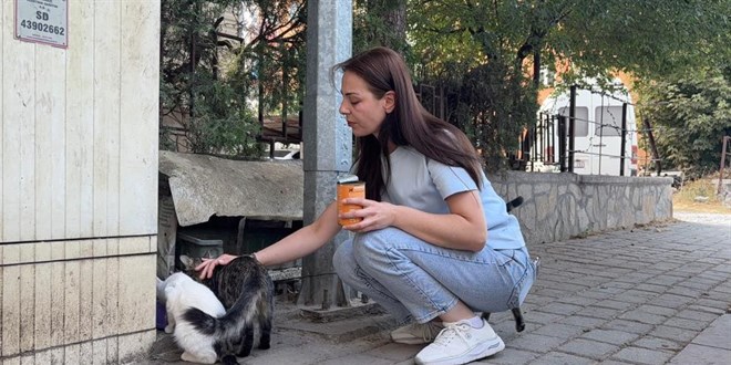 Kedi vah�eti: Ba��n� ve ayaklar�n� kesip apartman�n �n�ne b�rakt�lar - Son Dakika Haber