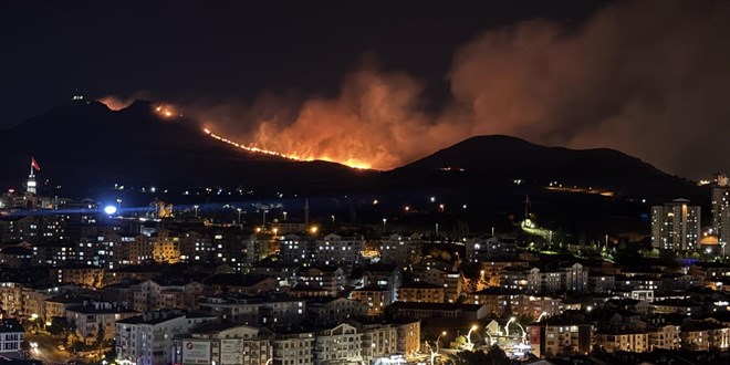 Ankara'da a�a�l�k alanda ��kan yang�na m�dahale ediliyor - Son Dakika Haber