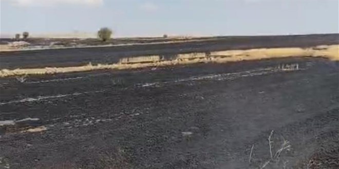 Anız ateşi kontrelden çıktı, bin dönüm otluk alan yandı
