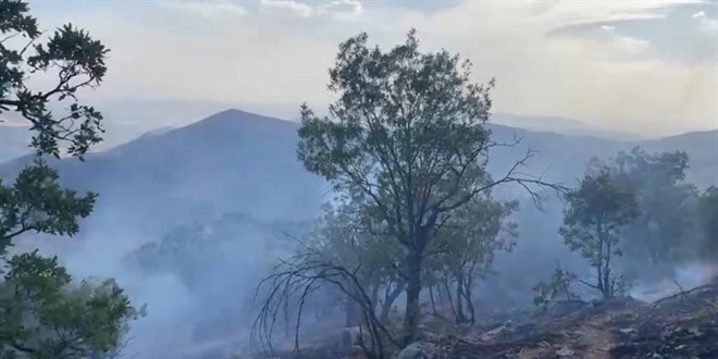 Siirt'te 5 ayrı noktada yangın alarmı: 4 bölgede söndürüldü
