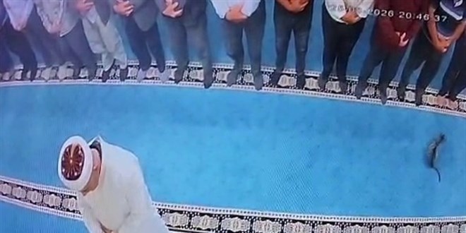 Camide kediyi tekmeleyen ��pheli serbest b�rak�ld� - Son Dakika Haber