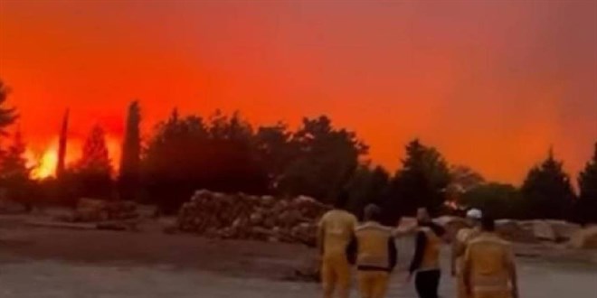 Mu�la'da orman yang�n�: R�zgar�n etkisiyle b�y�d� - Son Dakika Haber