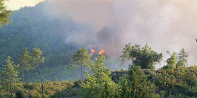 Antalya Serik'teki yang�n�n enerjisi d���r�ld� - Son Dakika Haber