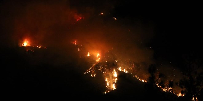 WMO: Orman yang�nlar� ve s�caklar, k�resel hava kalitesini iyile�tirme �abalar�n� baltalama riski ta��yor