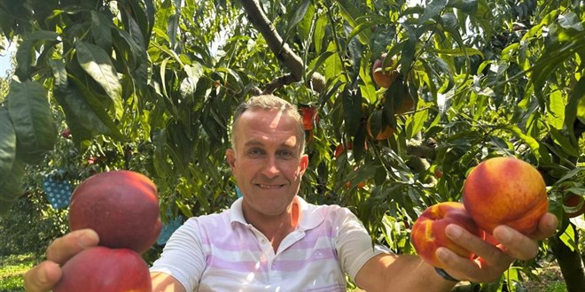 A�ustosta tarlada 10 liraya kadar d��m��t�, dal�nda 40 liray� g�rd� - Son Dakika Haber