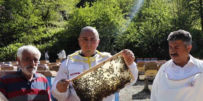 Ar�c�l�k desteklerinde art��: Kovan ba��na destek 475 liraya kadar ��kacak
