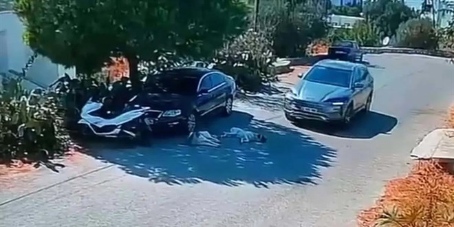 Otomobille iki k�pe�in �zerinden ge�ti, yoluna devam etti