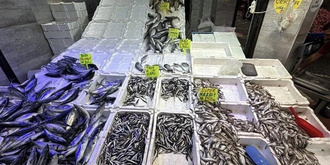 Bal�k sezonu bereketli ba�lad�: Hamsi 200, palamut 100 liradan ba�l�yor - Son Dakika Haber