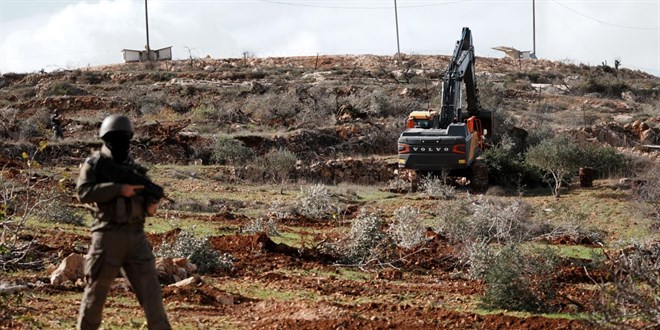 ��galci �srailliler, Bat� �eria'da Filistinlilerin zeytinlerini �ald� - Son Dakika Haber