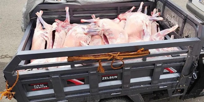 Batman'da ka�ak kesime 52 bin 801 lira ceza: 14 k���kba� hayvan�n eti imha edildi