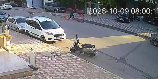 Sokak k�pekleri okul yolundaki k�z �ocu�una sald�rd�