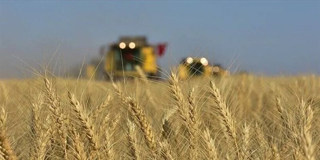 T�GEM, 2 bin 116 ton mahsul bu�day� sat��a ��kar�yor