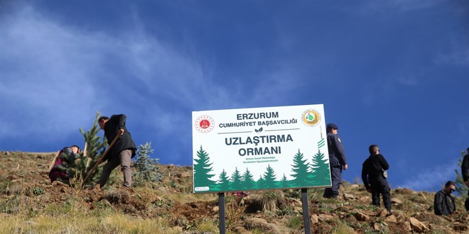 Uzla�t�rma dosyalar�ndaki ba���lar 'Uzla�t�rma Orman�'na d�n��t�
