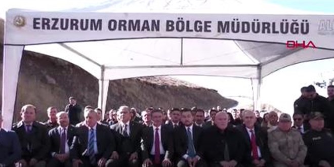 Uzla�t�rma dosyalar�ndaki ba���lar 'Uzla�t�rma Orman�'na d�n��t� - Son Dakika Haber