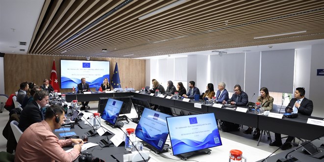 AB T�rkiye Delegasyonu Ba�kan�: AB'nin T�rkiye'ye, T�rkiye'nin de AB'ye ihtiyac� var - Son Dakika Haber