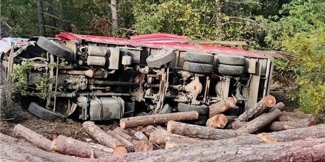 �anakkale'de yol ��kt�, tomruk y�kl� kamyon devrildi: 1 �l� - Son Dakika Haber