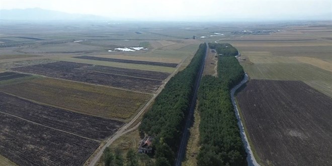 55 y�l �nce dikti�i fidanlar�n ormana d�n��mesini gururla izliyor - Son Dakika Haber
