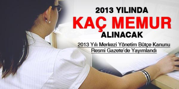 Bir kamu kurumu, 2013 yılında kaç personel alabilecek?
