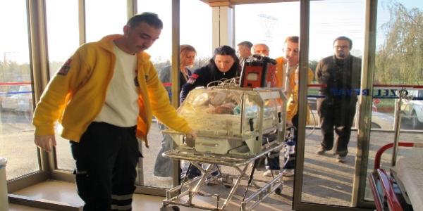 �orlu`da her g�n ortalama 12 bebek do�uyor 4 ki�i �l�yor