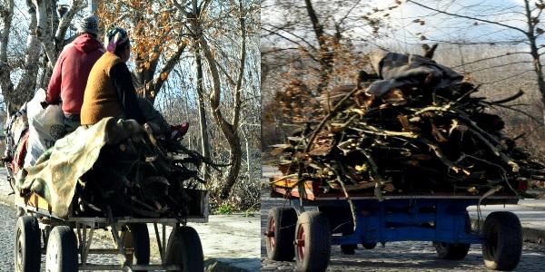 Dar gelirli vatanda��n yakacakla imtihan�