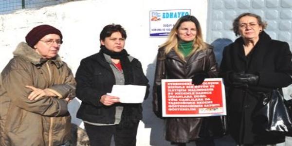 Belediyenin 150 tl'lik kafes alacak gücü yok mu?'