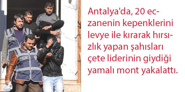 Yamalı mont hırsızları yakalattı