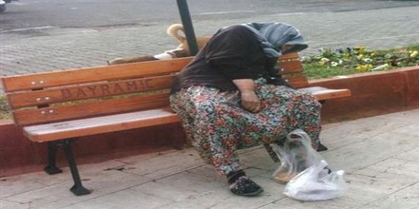 Yaşlı kadın donmaktan son anda kurtarıldı