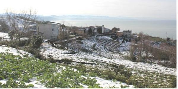 Rize'de heyelan