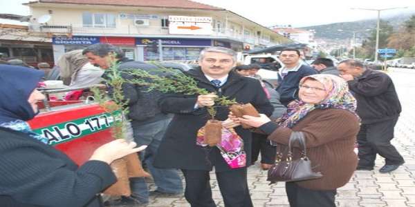 Elmalı'da iki bin fidan dağıtıldı