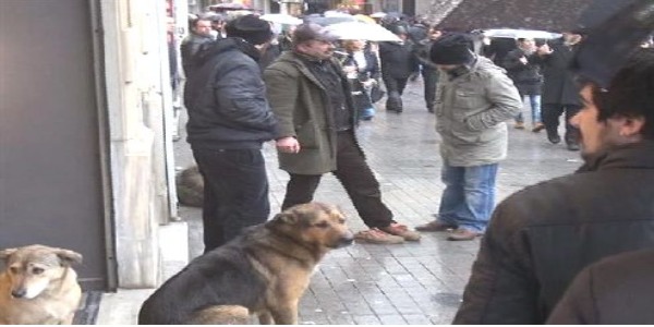 Beyolu'nda kpek nce gvenlik grevlisini sonra polisi srd