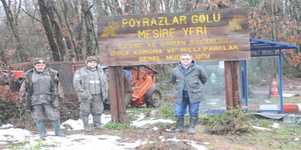 15 mühre doğal yaşama döndü
