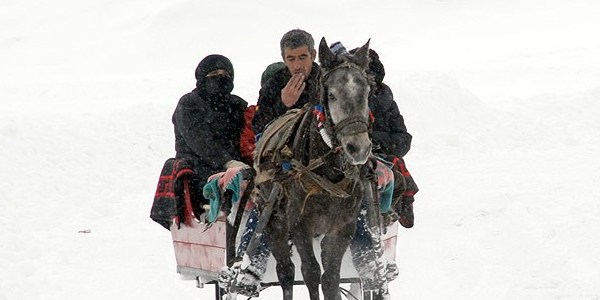 Dou Anadolu'da Sibirya souklar