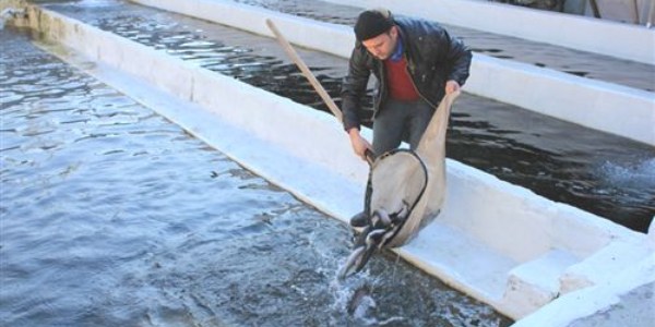 Yem katk� maddeleri kontrol alt�na al�ns�n talebi