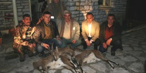 3 yaban keçisi vuran kaçak avcılara 39 bin 492 TL ceza