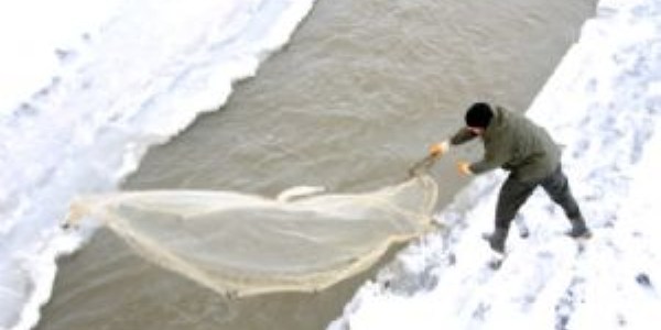 Buz tutan Murat Nehri'nde balk av