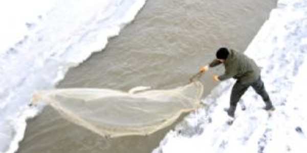 Buz tutan Murat Nehri'nde balık avı