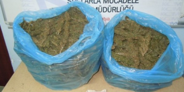 Rize'de 511 gram esrar ele geçirildi